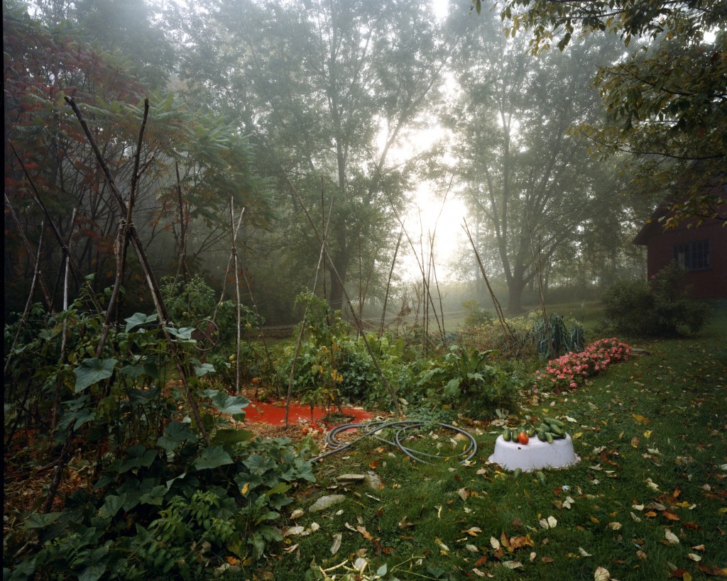 Fall Garden, Lyme, NH, 2005