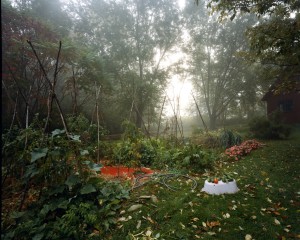 Fall Garden, Lyme, NH, 2005